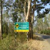 DSC00956.JPG