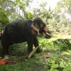 DSC01155.JPG