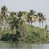 DSC00411.JPG