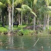 DSC04225.JPG