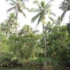 DSC04231.JPG