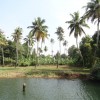 DSC04234.JPG