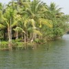 DSC04245.JPG