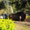 DSC00660.JPG