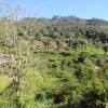 DSC00683.JPG