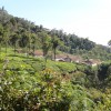 DSC00688.JPG