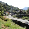 DSC00701.JPG