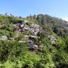 DSC00704.JPG