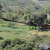 DSC00784.JPG
