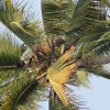 DSC04897.JPG