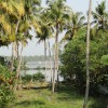 DSC00245.JPG