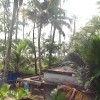 DSC01489.JPG