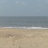 DSC01664.JPG