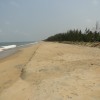 DSC01668.JPG