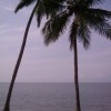 IMAG0028.jpg