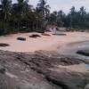 IMAG0034.jpg