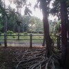 IMAG0121.jpg