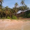 IMAG0127.jpg
