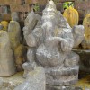 DSC00569.JPG