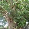 DSC00571.JPG