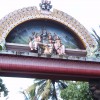 S4300231.JPG