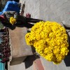DSC00742.JPG