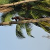 DSC02754.JPG