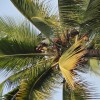 DSC04899.JPG