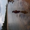S4300250.JPG