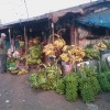 IMAG0155.jpg