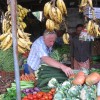 IMG_1418.JPG
