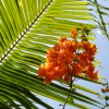 DSC00408.JPG