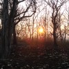 DSC00846.JPG