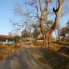 DSC00856.JPG
