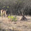 DSC00875.JPG
