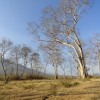 DSC00876.JPG