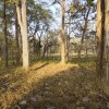 DSC00950.JPG
