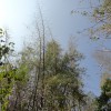 DSC00977.JPG