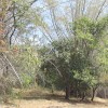 DSC00982.JPG