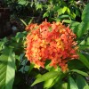 DSC01202.JPG