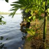 DSC01209.JPG