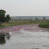 DSC01264.JPG