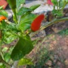 DSC02571.JPG