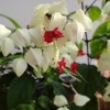DSC02572.JPG