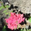 DSC02933.JPG