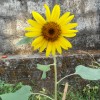 DSC04271.JPG