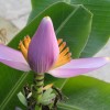 DSC04862.JPG