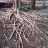 IMAG0120.jpg