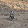 DSC00823.JPG