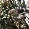DSC00909.JPG